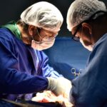 De janeiro a agosto de 2024, a unidade captou 103 órgãos e tecidos, sendo 42 rins, 5 fígados e 56 córneas