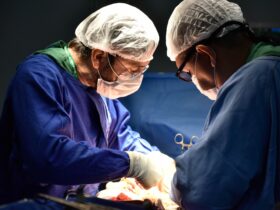 De janeiro a agosto de 2024, a unidade captou 103 órgãos e tecidos, sendo 42 rins, 5 fígados e 56 córneas