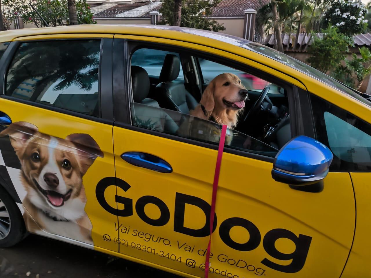 GoDog transporte premium para pets com segurança e conforto