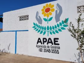 Apae de Aparecida realiza feijoada e bazar beneficentes neste sábado, 19