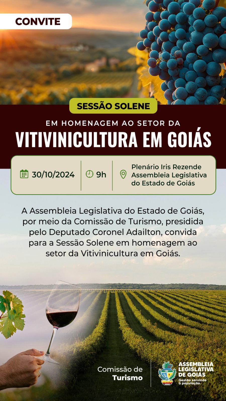 Vitivinicultura, queijos e salames da produção goiana é destaque na Alego