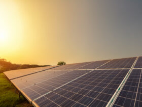 Pequenas empresas de Goiás podem economizar até 18% na conta de luz com adoção de energia limpa