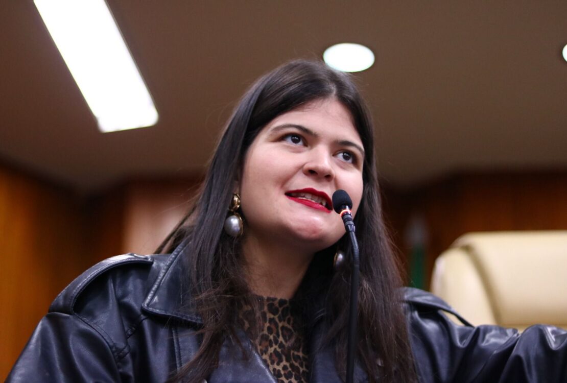 Câmara aprova programa “Doador de Sonhos” que inclui livros infantis em cestas básicas