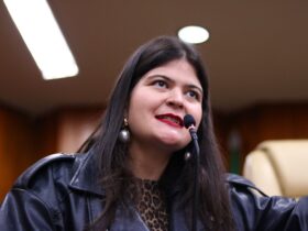 Câmara aprova programa “Doador de Sonhos” que inclui livros infantis em cestas básicas
